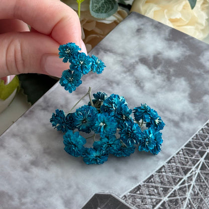 dried flowers, perfect for use in molds and resin creations