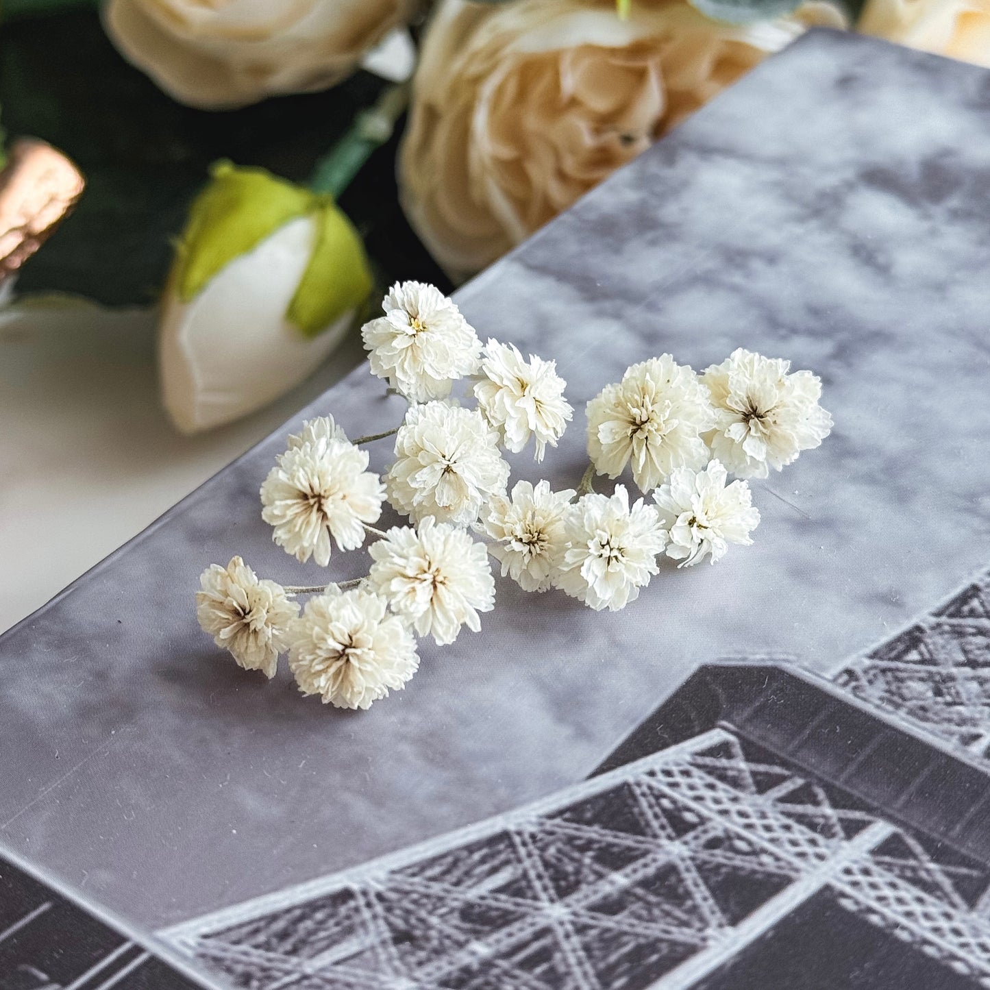 Dried Mini Flowers
