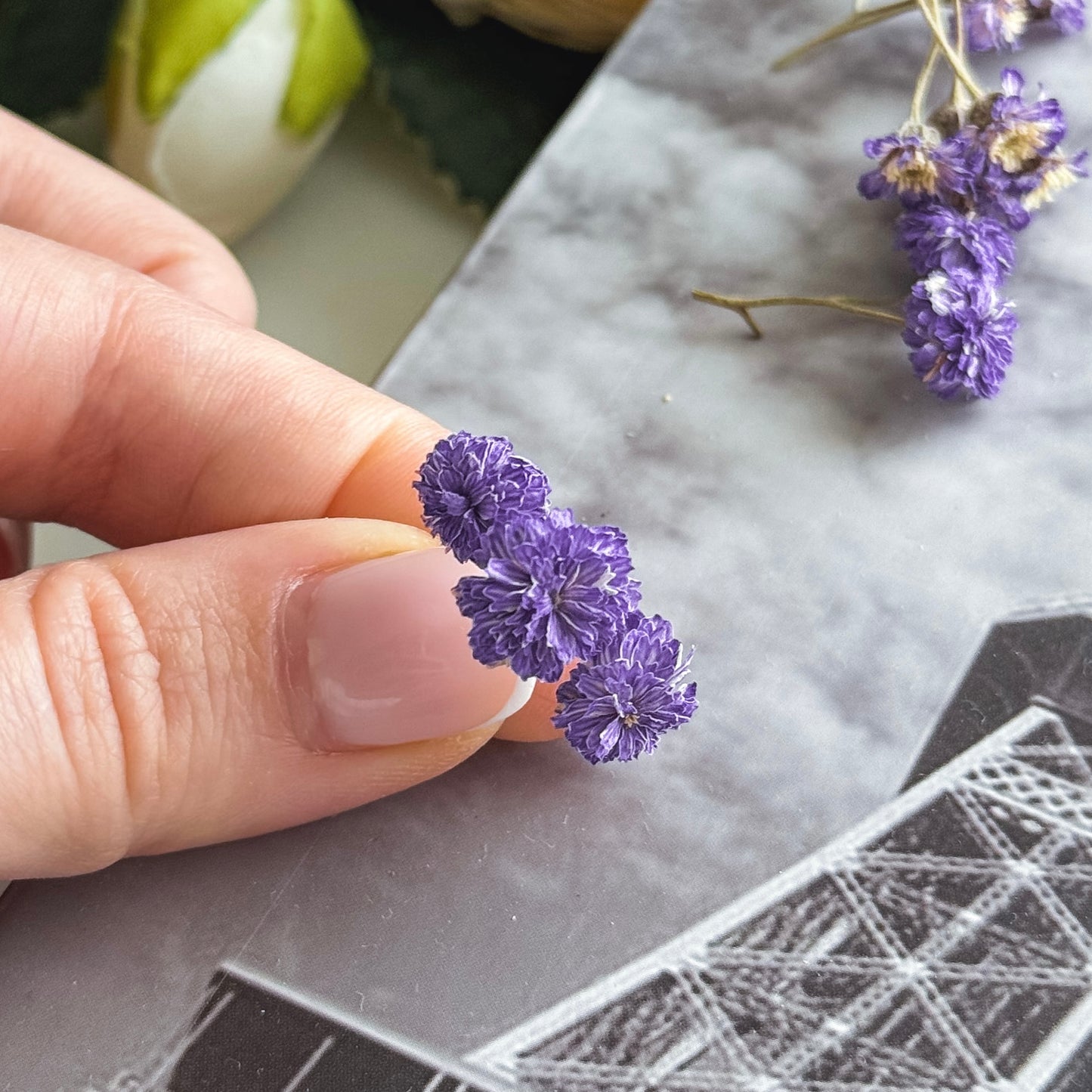 Dried Mini Flowers