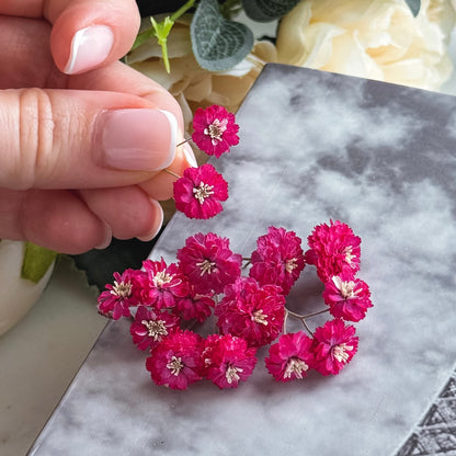 dried flowers, perfect for use in molds and resin creations