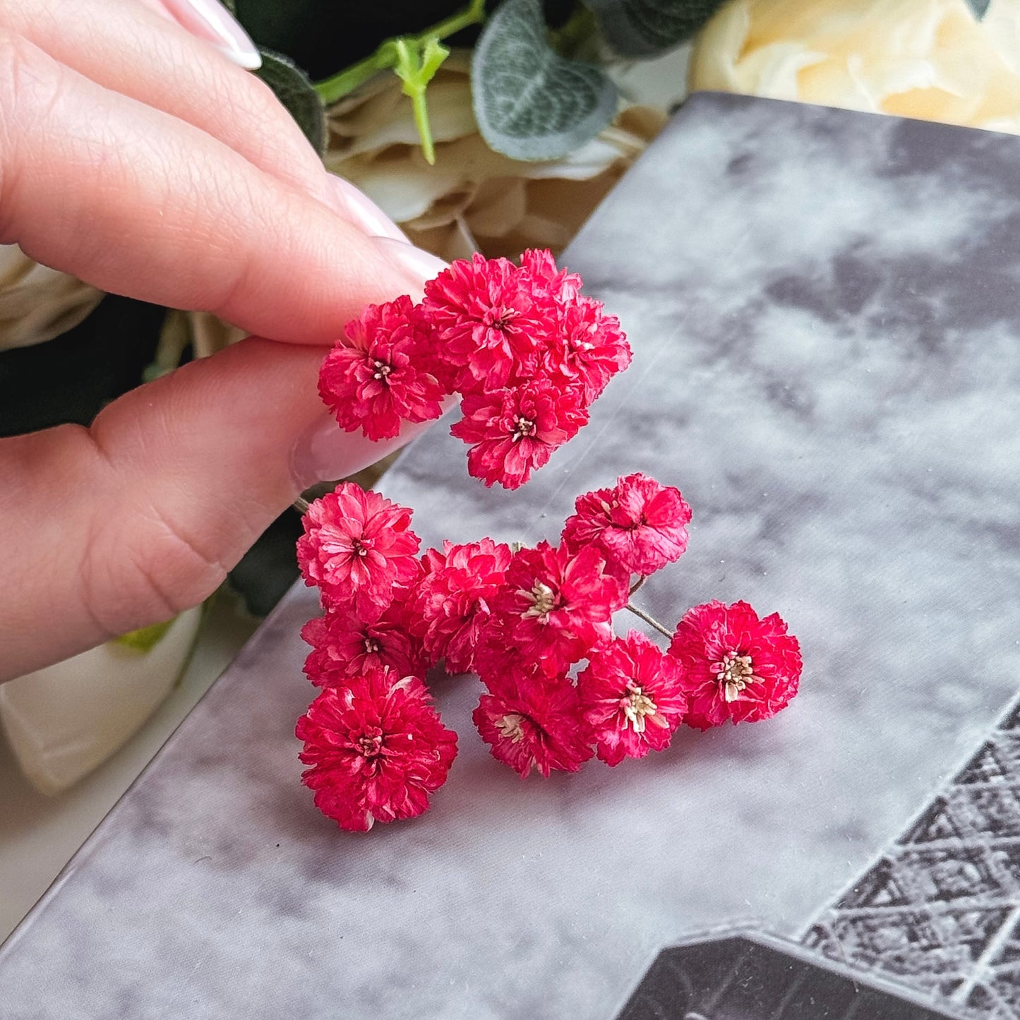 Dried Mini Flowers