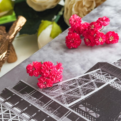 Dried Mini Flowers