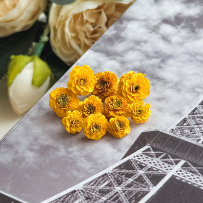 dried flowers, perfect for use in molds and resin creations