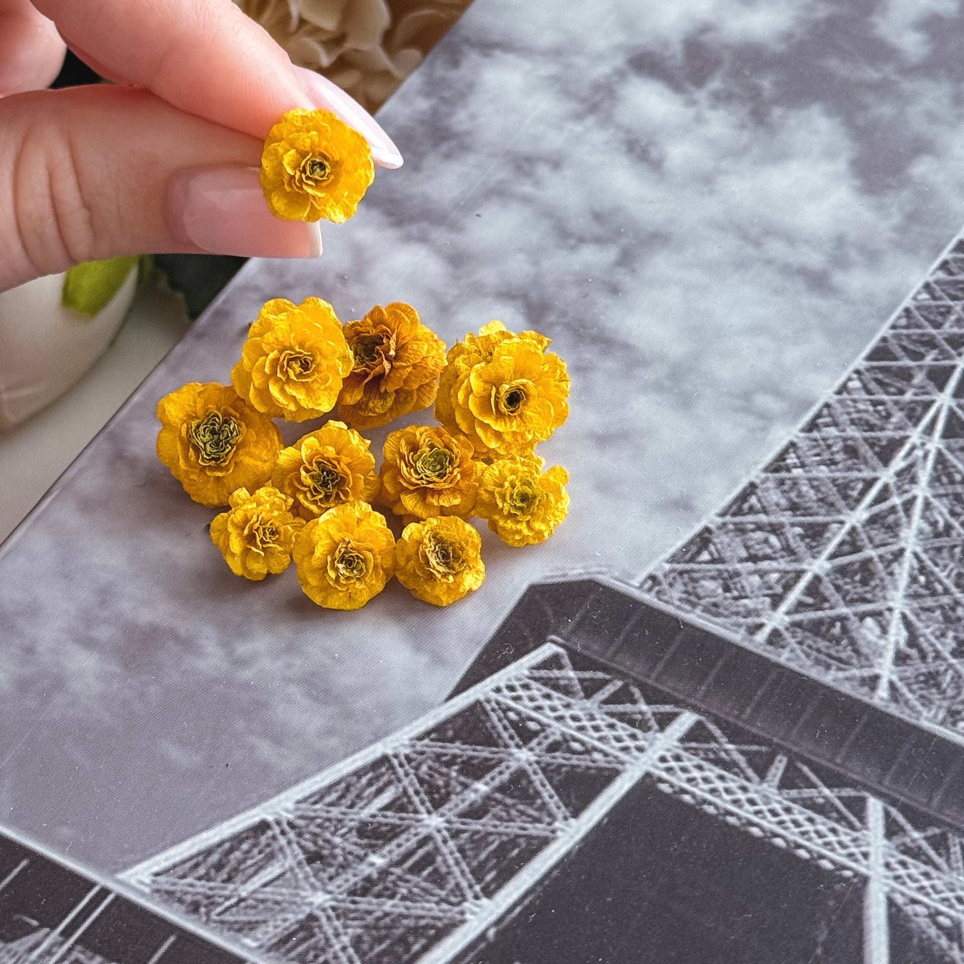 dried flowers, perfect for use in molds and resin creations