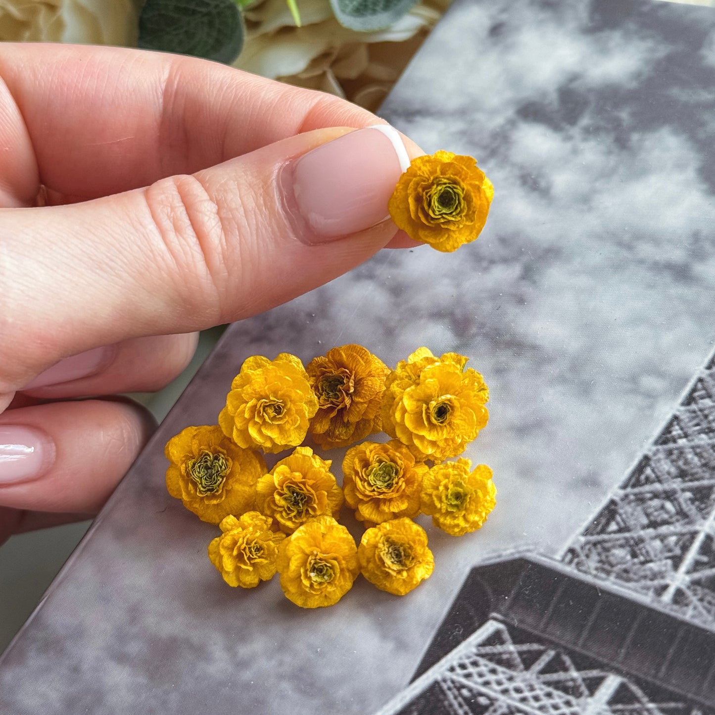 dried flowers, perfect for use in molds and resin creations