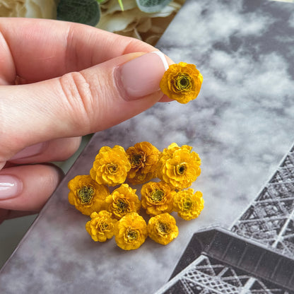 dried flowers, perfect for use in molds and resin creations